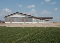 fensterle__landwirtschaftlicher-bau03